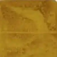 Fawn concrete stain color swatch CF/CW-700