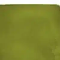 Moss Green concrete stain color swatch CF/CW-170