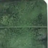 Sea Foam concrete stain color swatch CF/CW-560