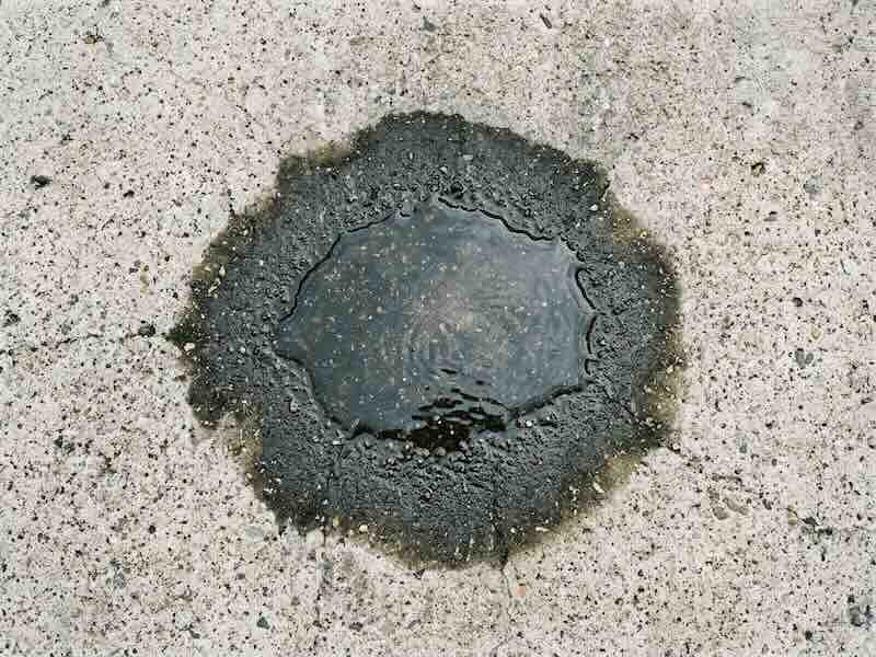 Water absorbing into unsealed concrete and darkening the surface — a sign the driveway needs sealing